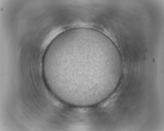 X0000088220103200706051332