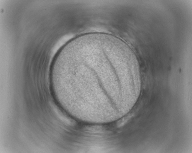 X0000088220104200706051332