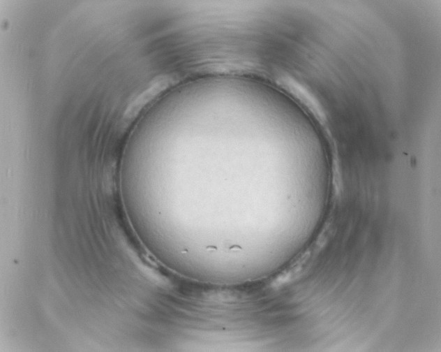 X0000088220105200706051332