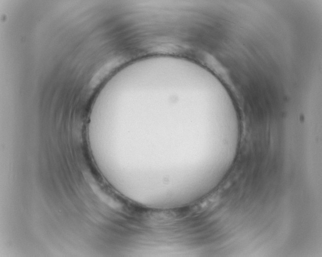 X0000088220106200706051332