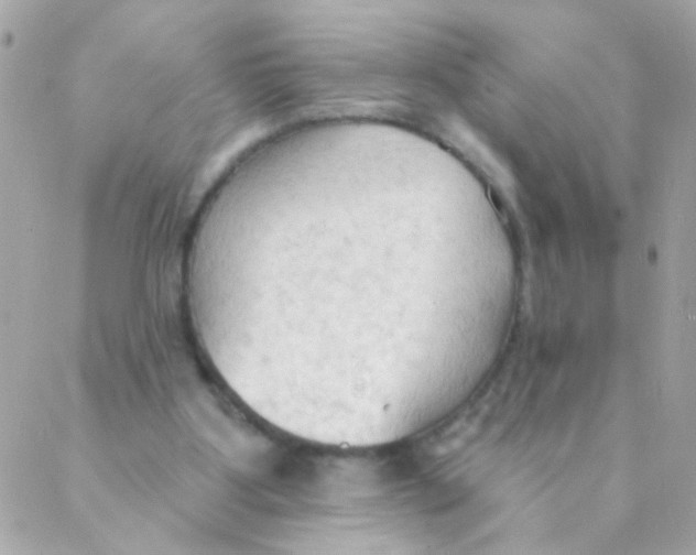 X0000088220107200706051332