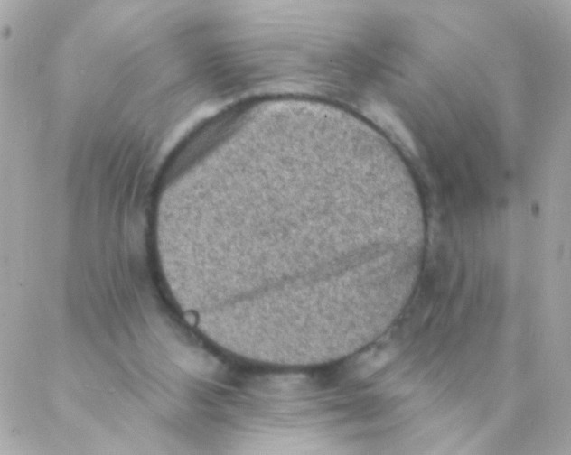 X0000088220108200706051332