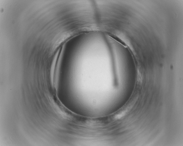 X0000088220109200706051332