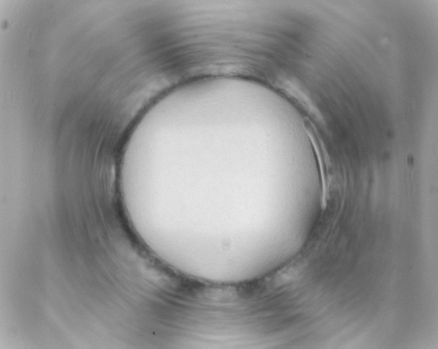 X0000088220110200706051332