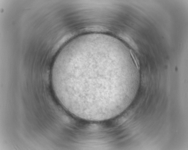 X0000088220111200706051332