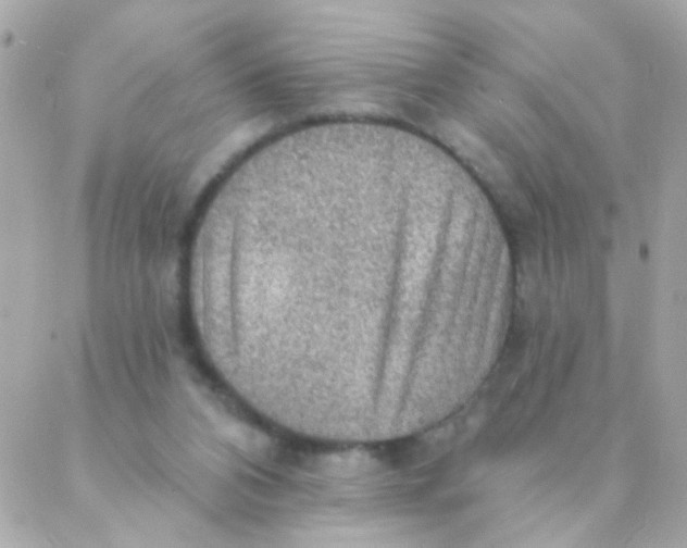 X0000088220112200706051332