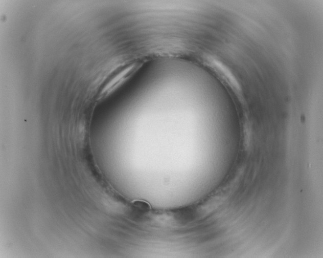 X0000088220113200706051332