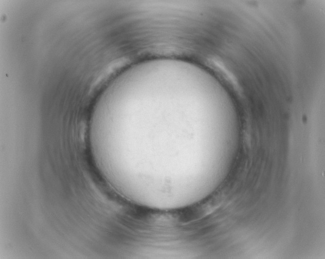 X0000088220115200706051332