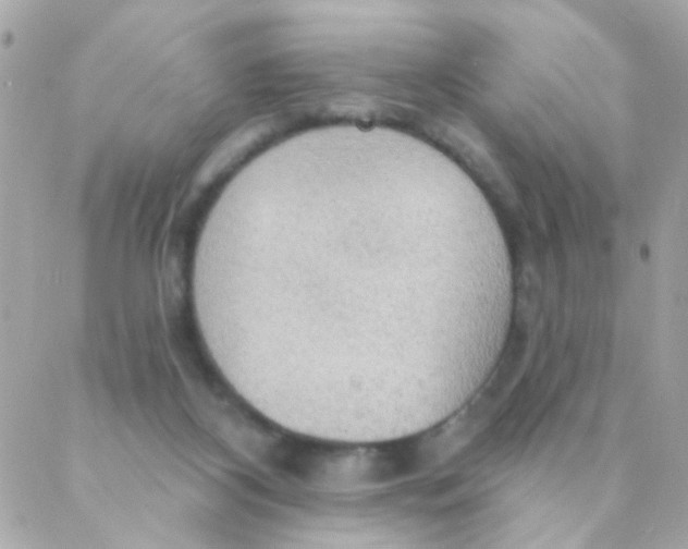 X0000088220116200706051332