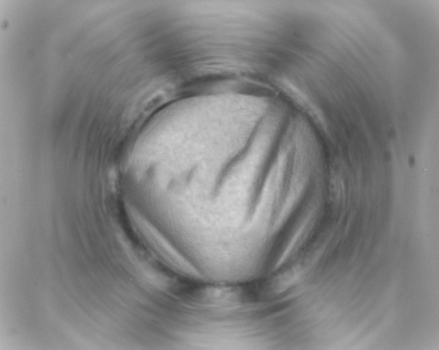 X0000088220117200706051332