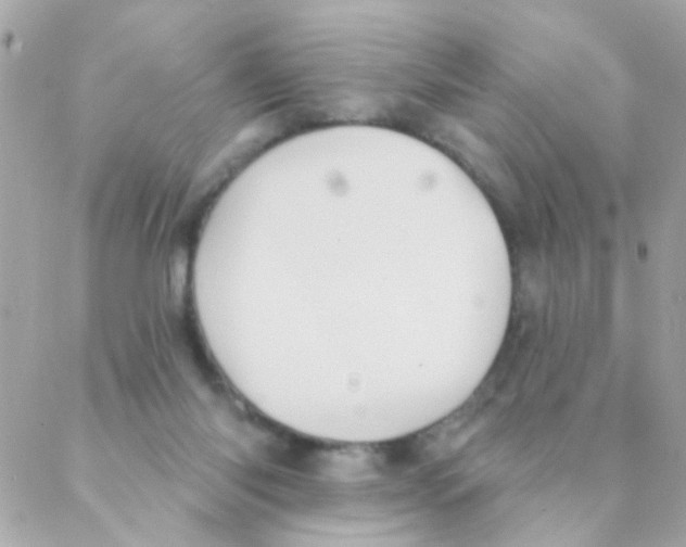 X0000088220118200706051332