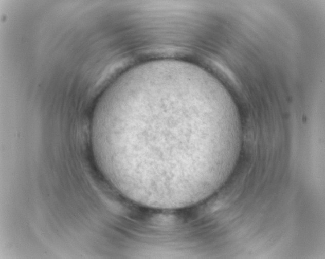 X0000088220119200706051332