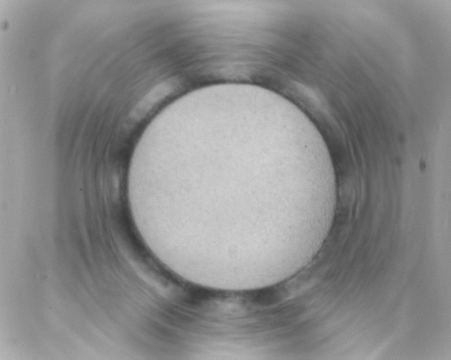 X0000088220120200706051332