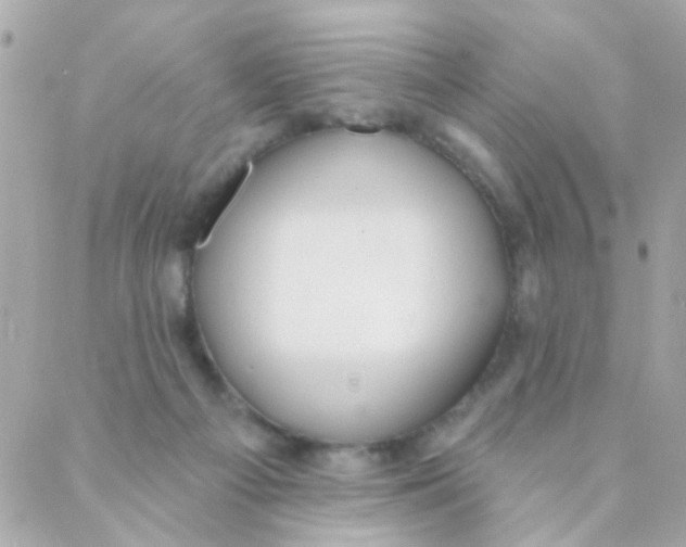 X0000088220121200706051332