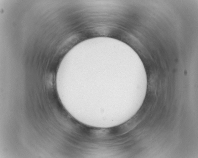 X0000088220122200706051332