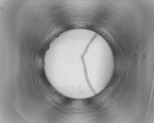 X0000088220123200706051332