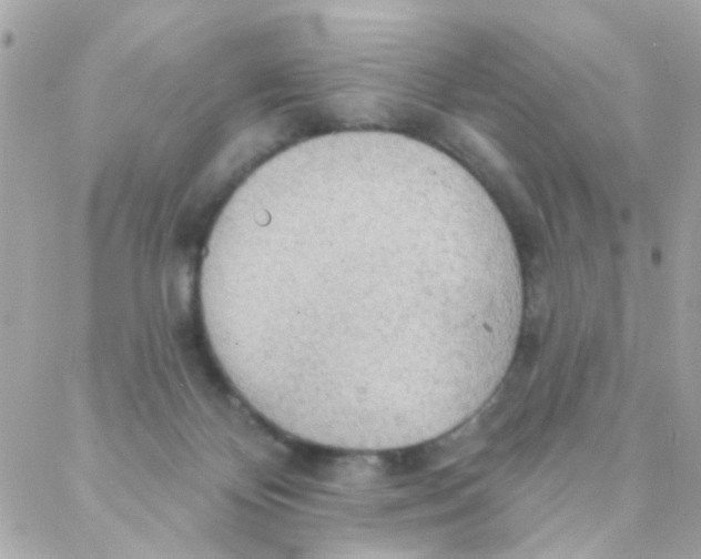 X0000088220124200706051332