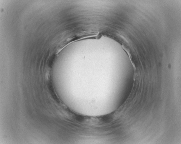 X0000088220125200706051332