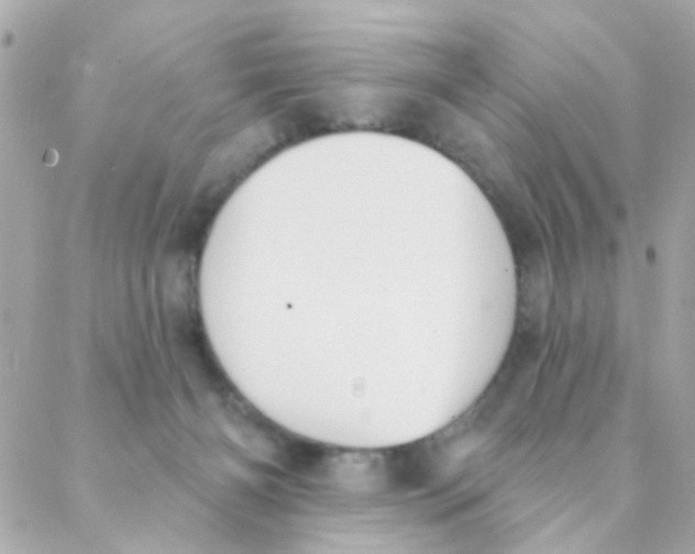 X0000088220126200706051332