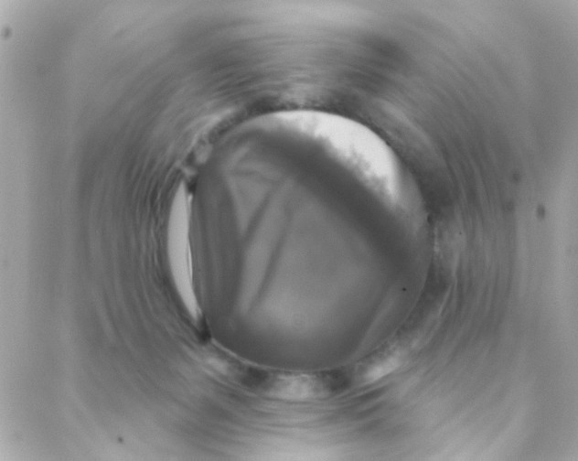 X0000088220127200706051332