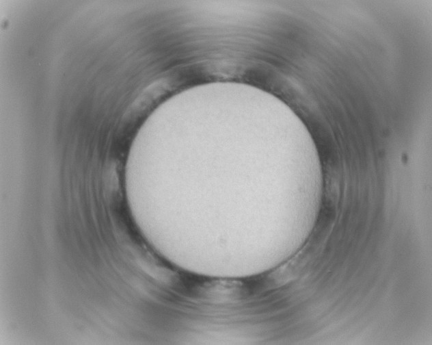 X0000088220128200706051332