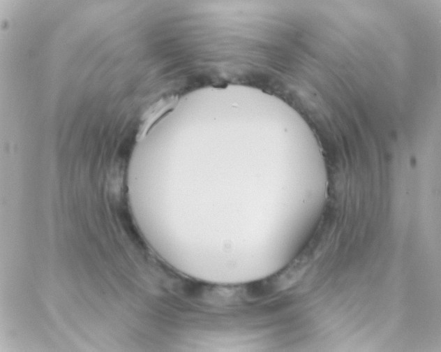 X0000088220129200706051332