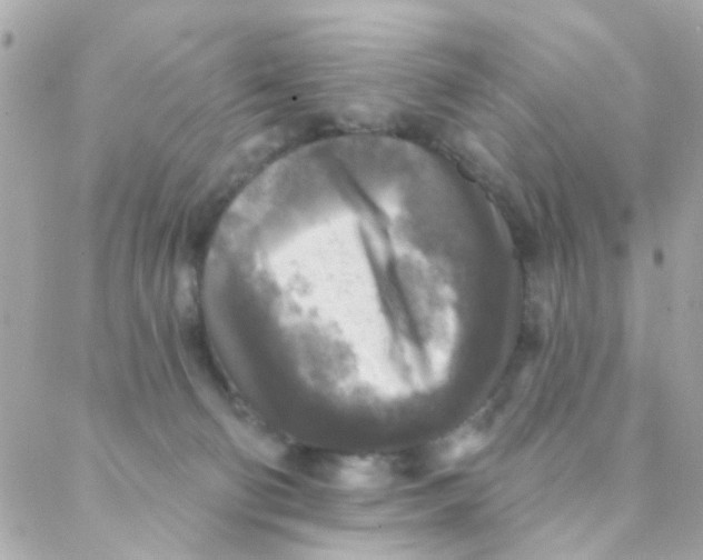 X0000088220130200706051332