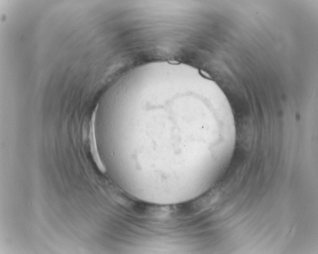 X0000088220131200706051332