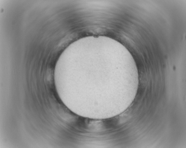 X0000088220132200706051332