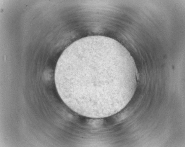 X0000088220135200706051332