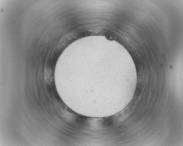 X0000088220136200706051332