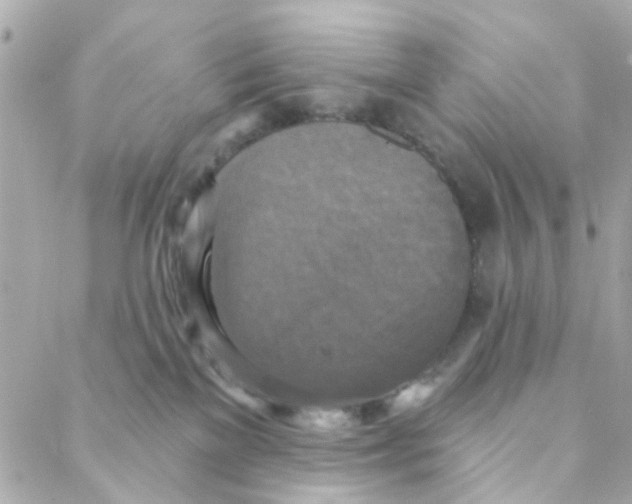 X0000088220137200706051332