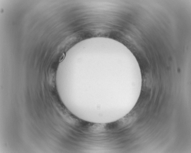 X0000088220138200706051332