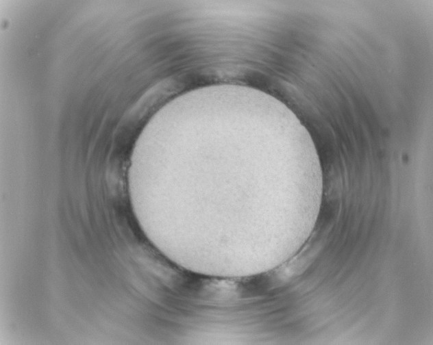 X0000088220140200706051332