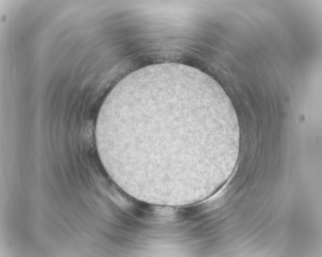 X0000088220144200706051332