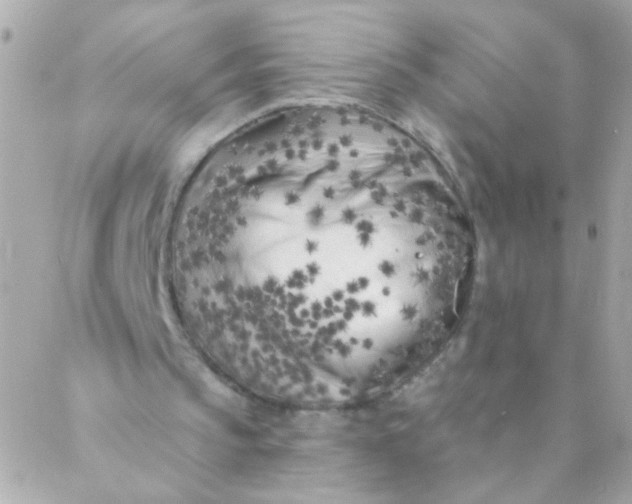 X0000088220145200706051331