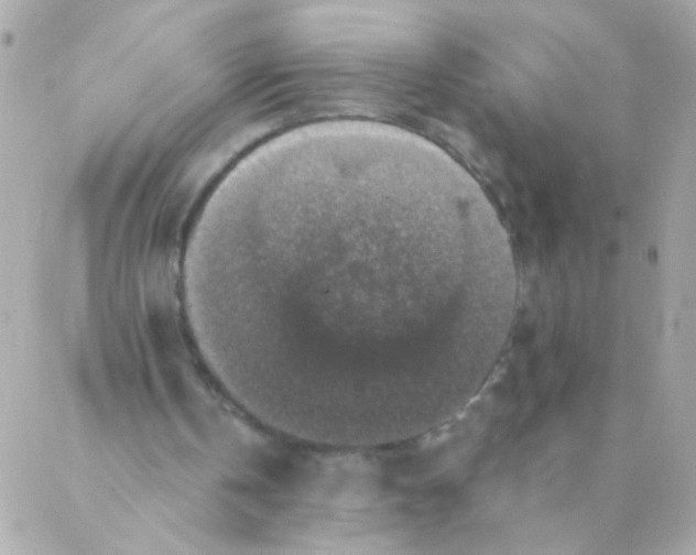 X0000088220146200706051331