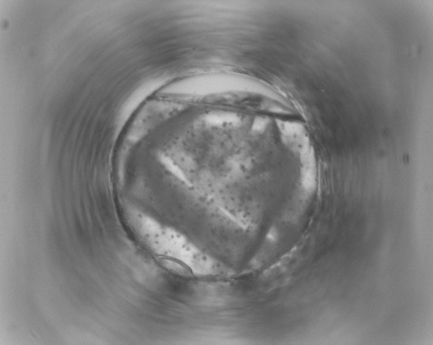 X0000088220147200706051331