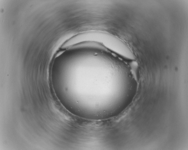 X0000088220148200706051331