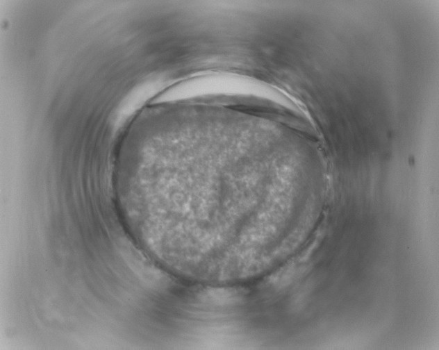 X0000088220149200706051331