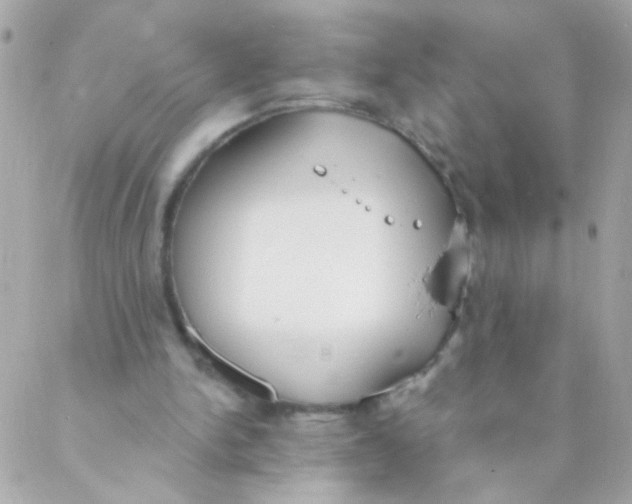 X0000088220150200706051331