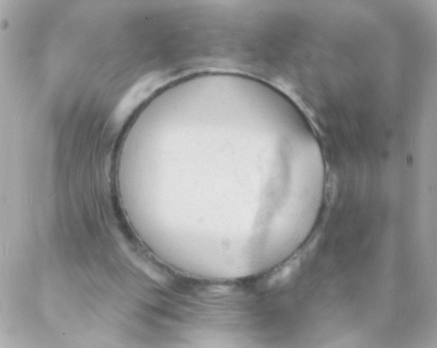 X0000088220151200706051331