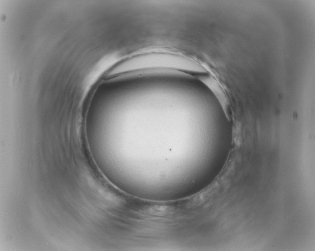 X0000088220152200706051331