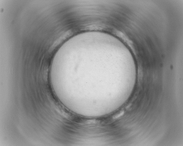 X0000088220153200706051331