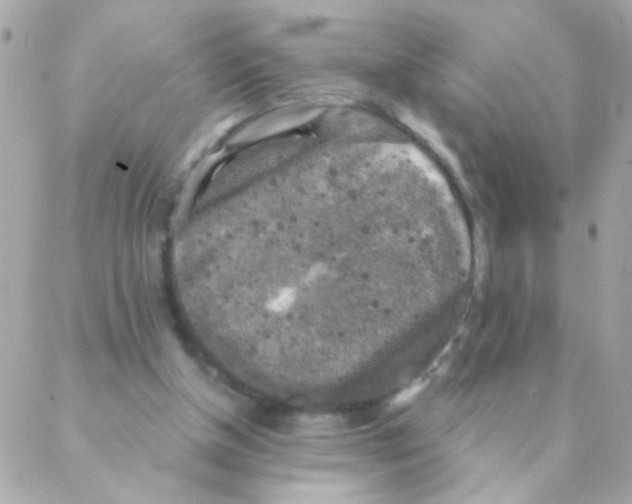 X0000088220154200706051331