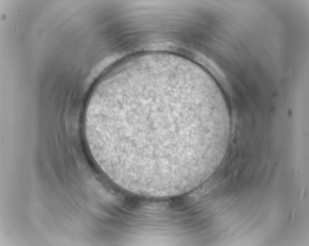 X0000088220155200706051331