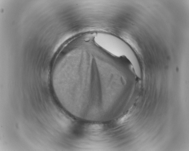 X0000088220156200706051331