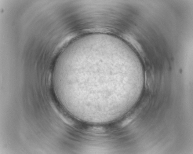 X0000088220157200706051331