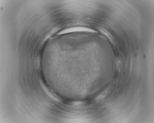 X0000088220158200706051331