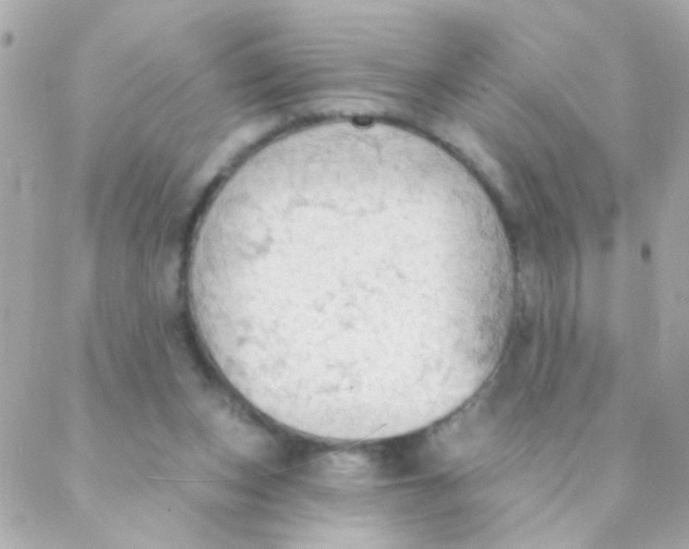 X0000088220159200706051331